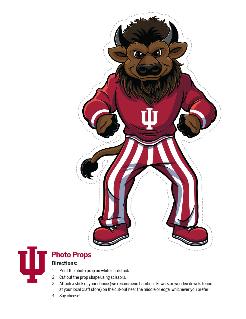 photo props bison mascot