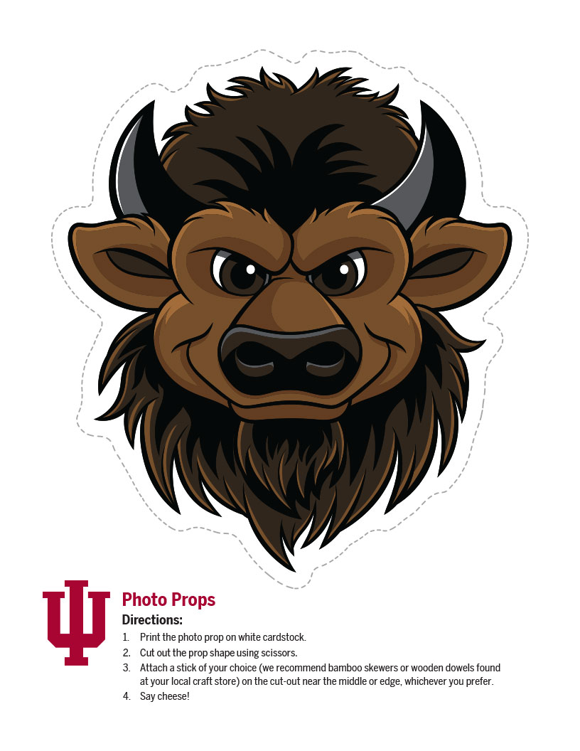 photo props bison head