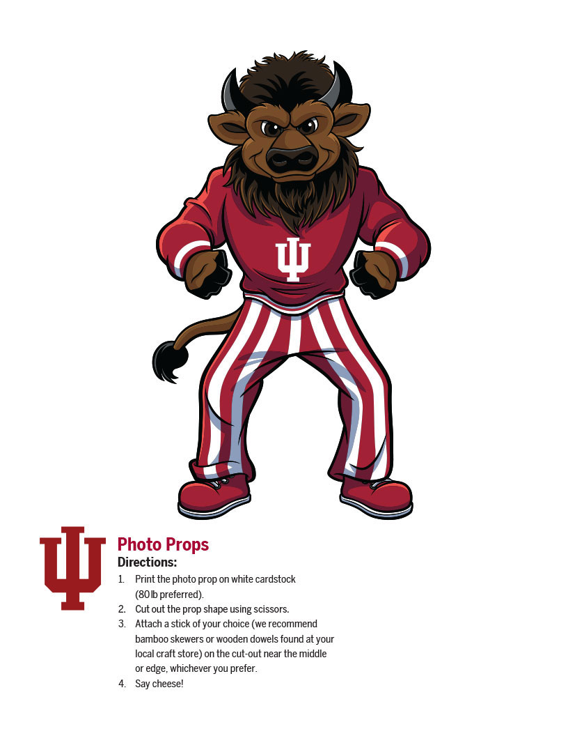 photo props bison mascot