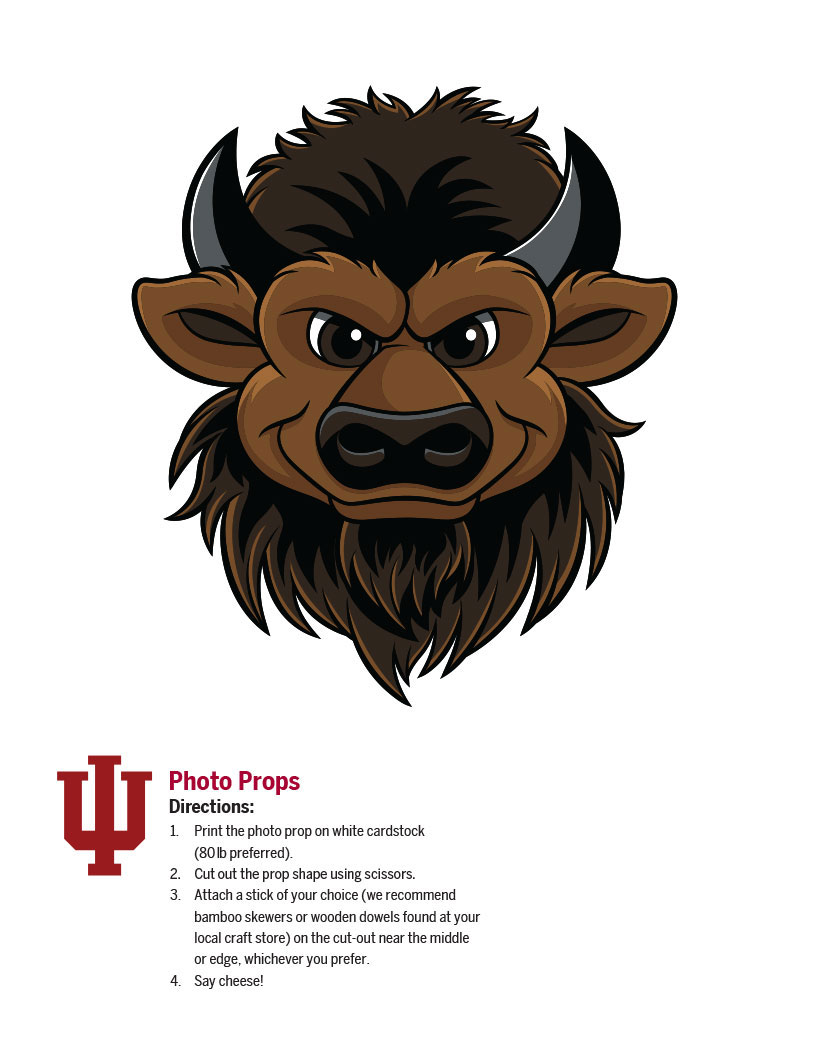 photo props bison head