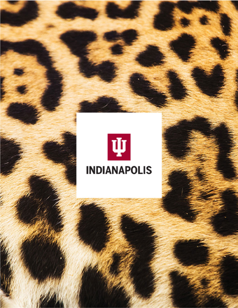 Jaguar print binder cover with IU Indianapolis lockup