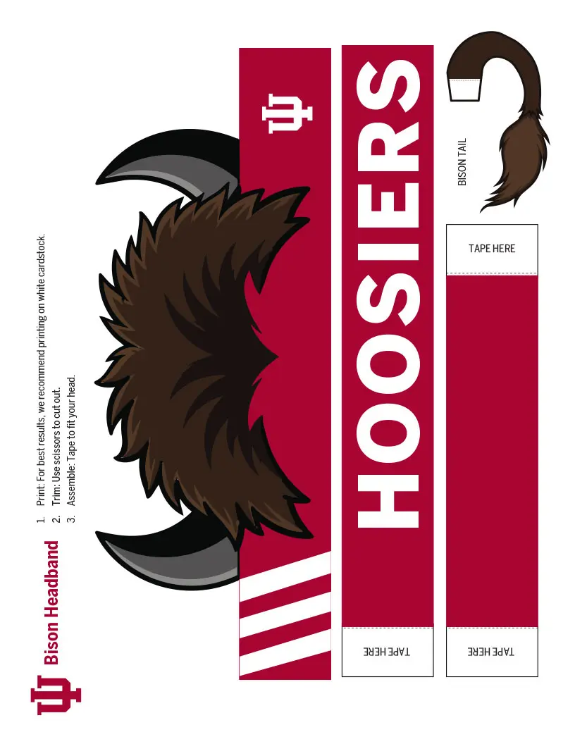 Bison headband