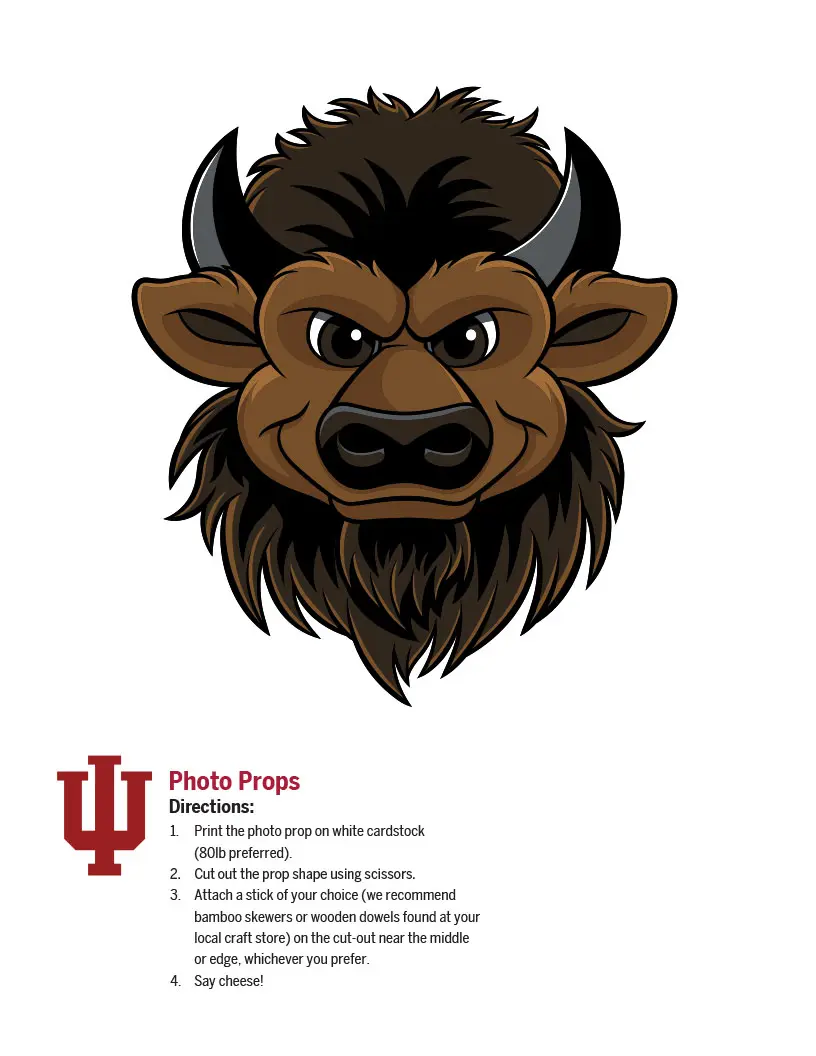 bison head photo prop
