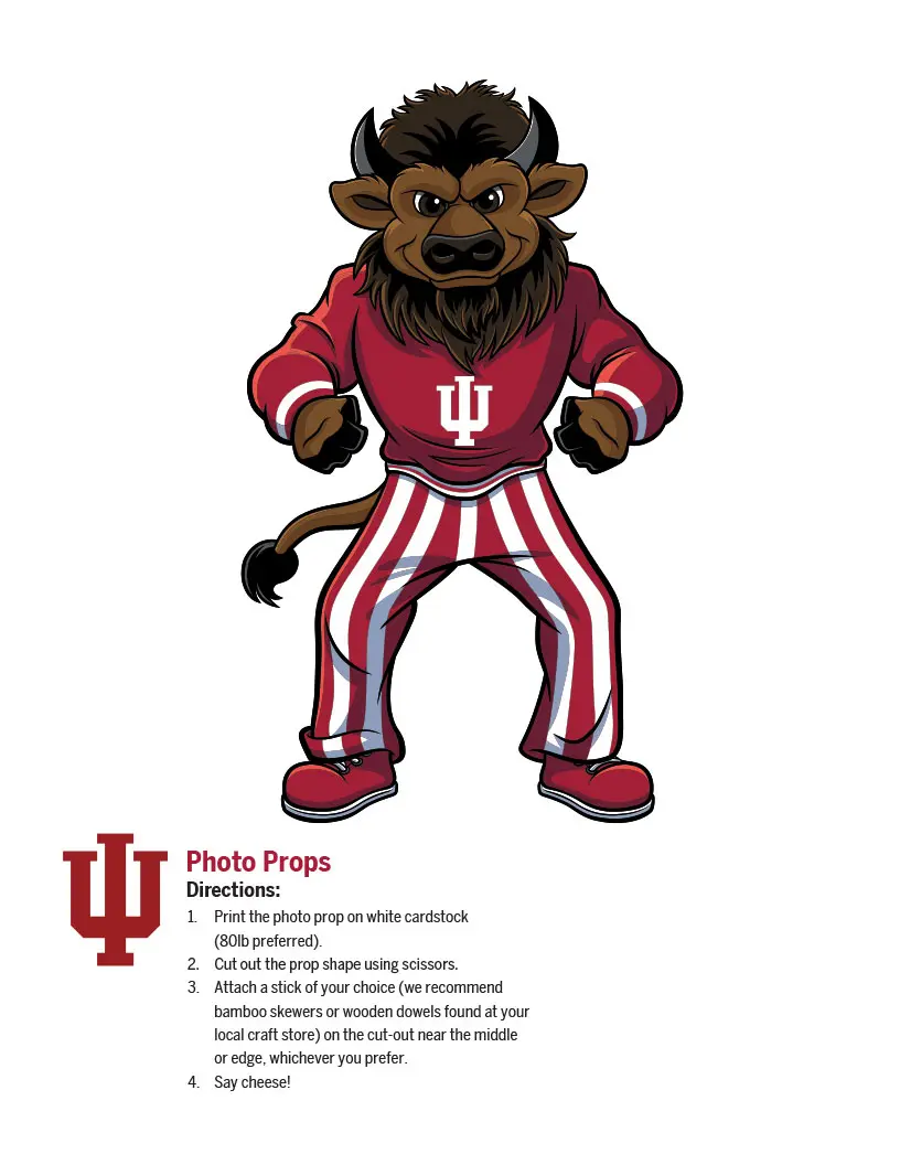 Hoosier the bison photo prop