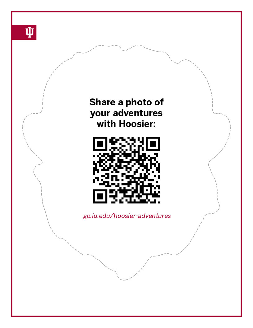 back side of head cutout of Hoosier the Bison with QR code for sharing Hoosier's Adventures