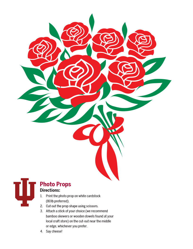 photo props roses