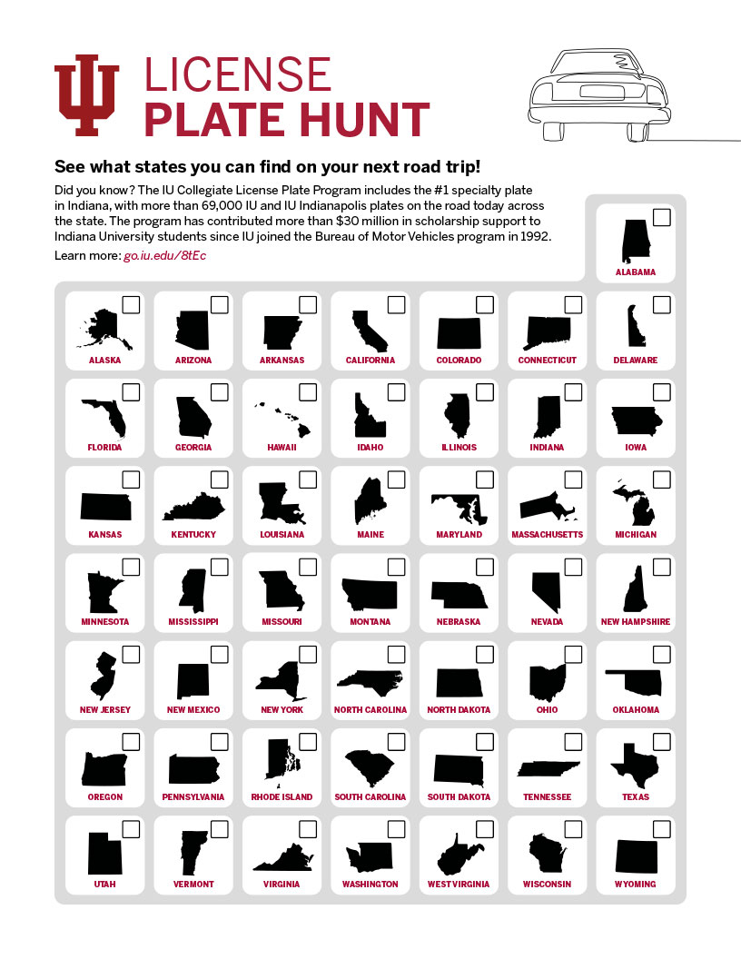State license plate hunt game