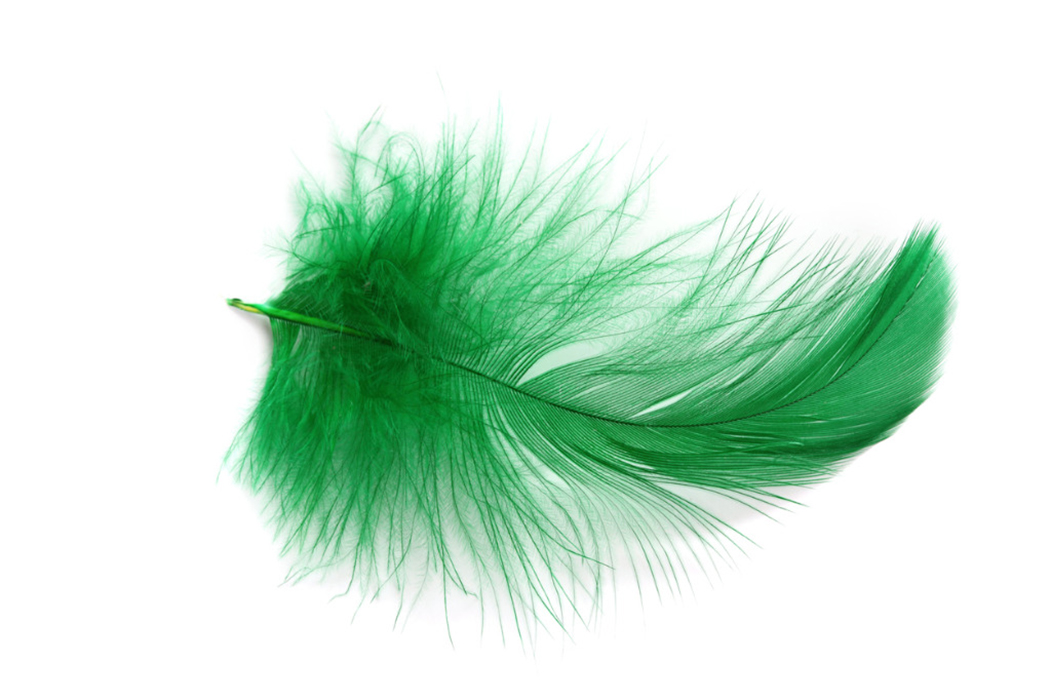 The Green Feather Movement : Pride of IU Stories: My IU: Indiana University