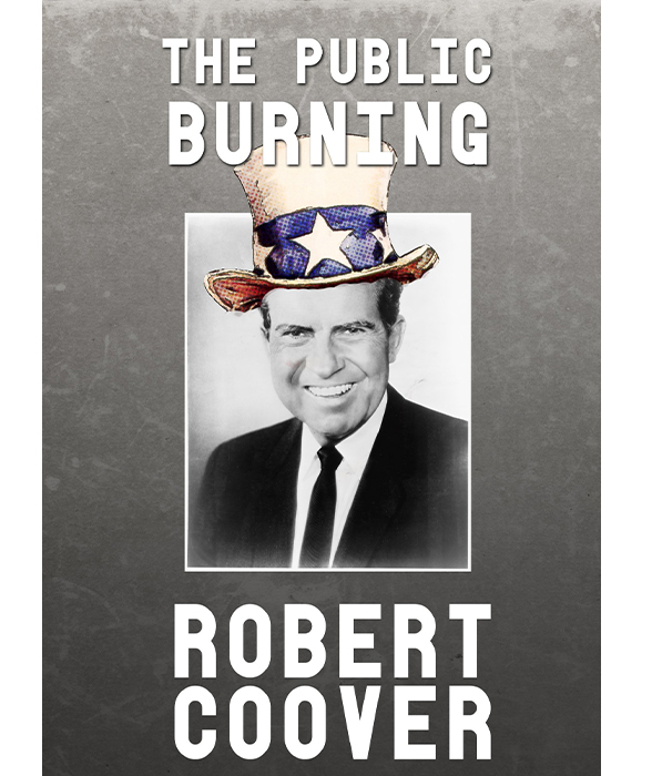 Book cover for The Public Burning