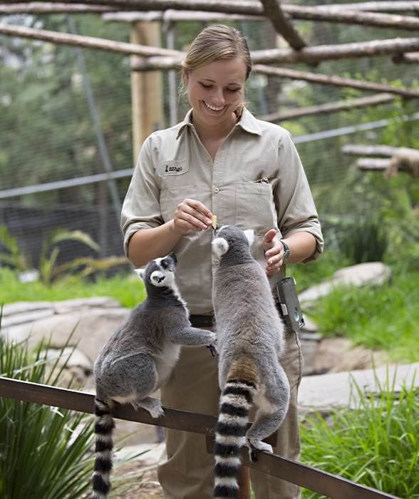 Lauren Ayres Martinez feeds lemurs at zoo in San Diego