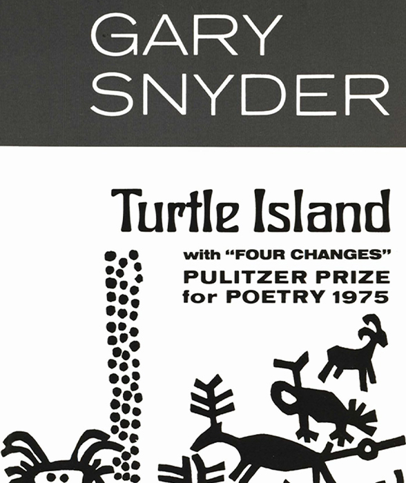 Book cover for Turtle Island