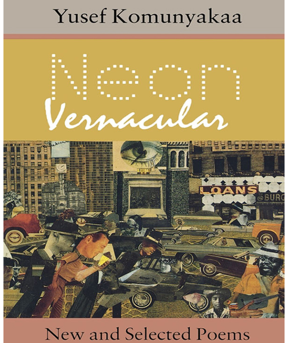 Book cover for Neon Vernacular