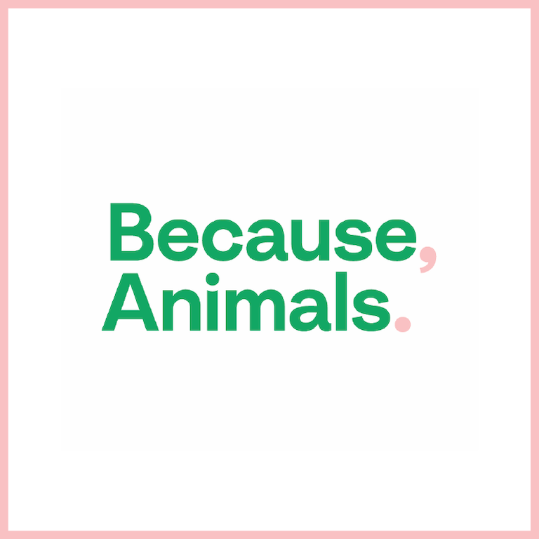 Text that reads: Because, Animals.