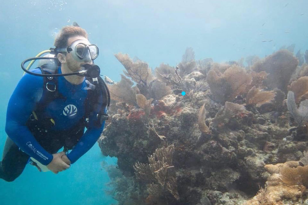 Austin Schlenz scuba diving near a coral reef 