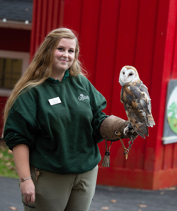 Kennedy Reynolds holds an owl at the Oglebay Good Zoo 