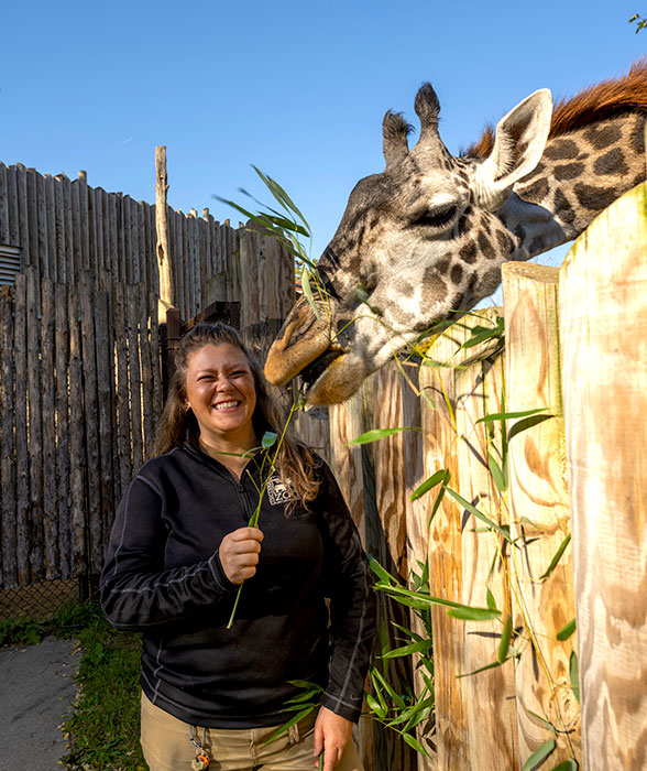 Jenna Wingate feeds a giraffe at the Cincinnati Zoo 