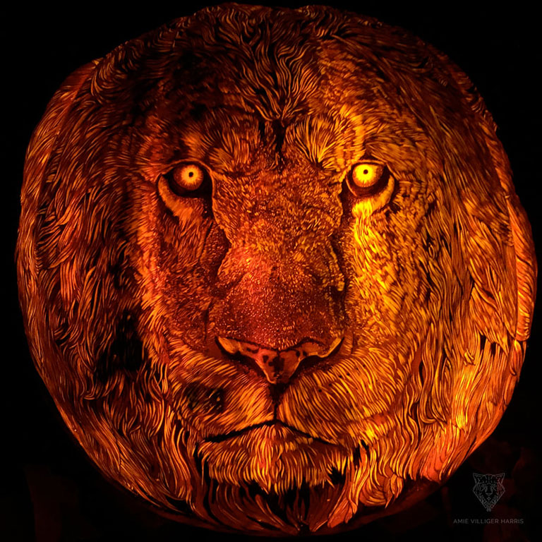 Face of lion carved on a pumpkin 
