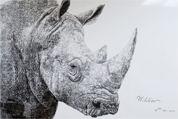A large dry-erase drawing of a rhinoceros on a whiteboard. The signature of the artist, William Minion, appears on the bottom right corner.